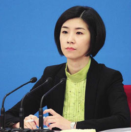 两会美女翻译张璐，网友称“重新爱上英语”